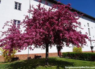 Primavera 2020 em Berlim