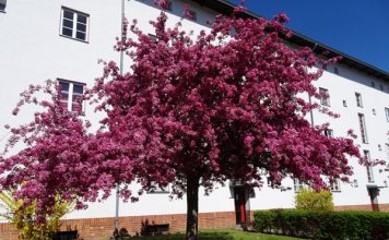 Primavera 2020 em Berlim