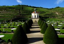Schloss Wackerbarth – Uma vinícola mais que especial