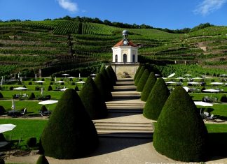 Schloss Wackerbarth – Uma vinícola mais que especial