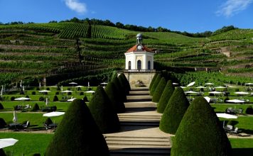 Schloss Wackerbarth – Uma vinícola mais que especial