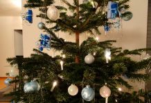 A história da árvore de Natal: Como e onde surgiu esta tradição