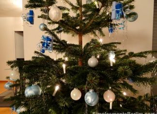 A história da árvore de Natal: Como e onde surgiu esta tradição