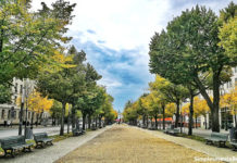 Avenida Unter den Linden