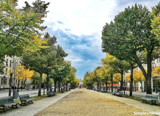 Avenida Unter den Linden
