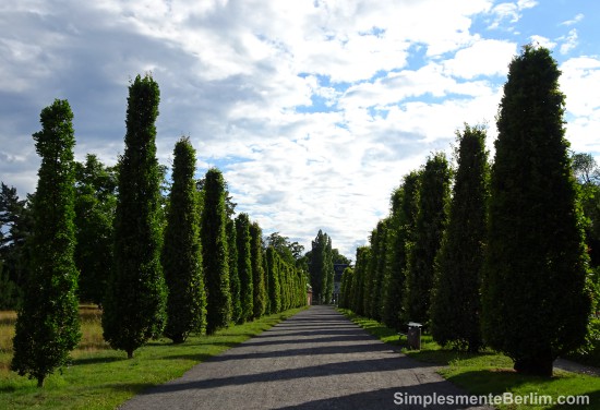 Alameda "Im Neuen Garten" - Neuer Garten - Potsdam Im Neuen Garten Allee - Neuer Garten - Potsdam